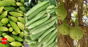 Gourds