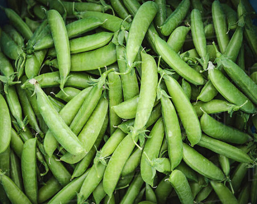 Pod Vegetables