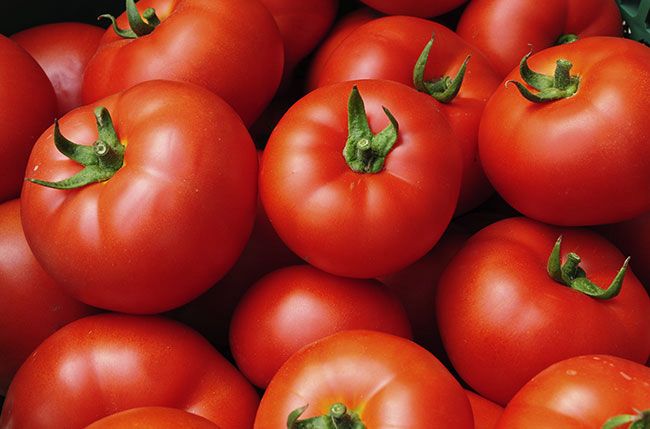 Round Tomato
