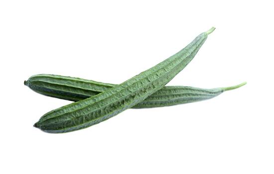 Ridge Gourd