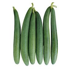 Sponge Gourd