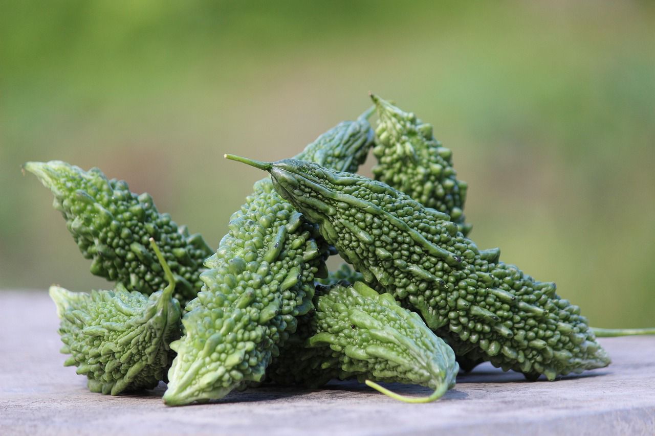 Regular Bitter Gourd