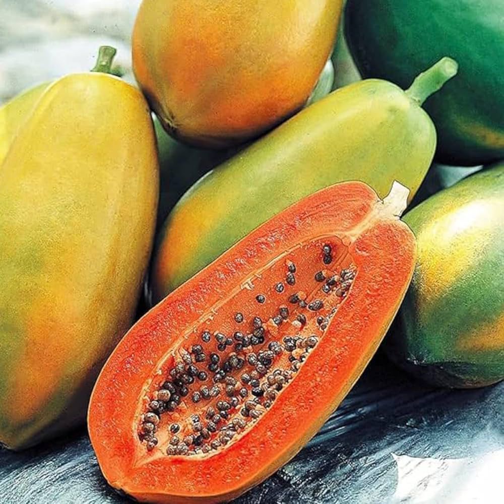 Papaya