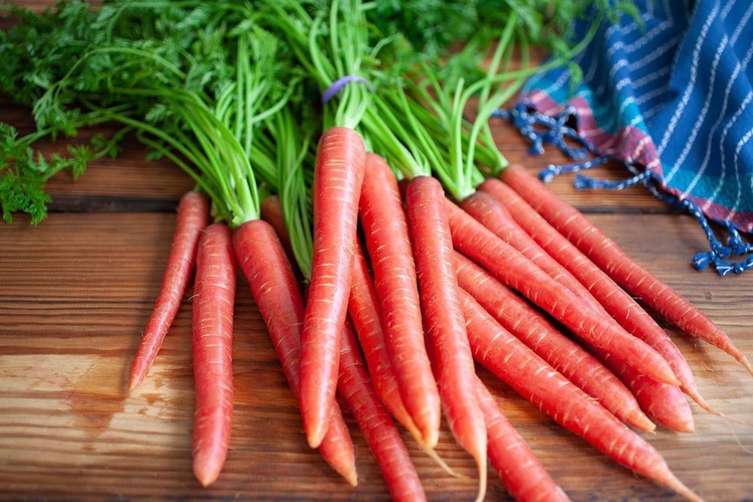 Carrot