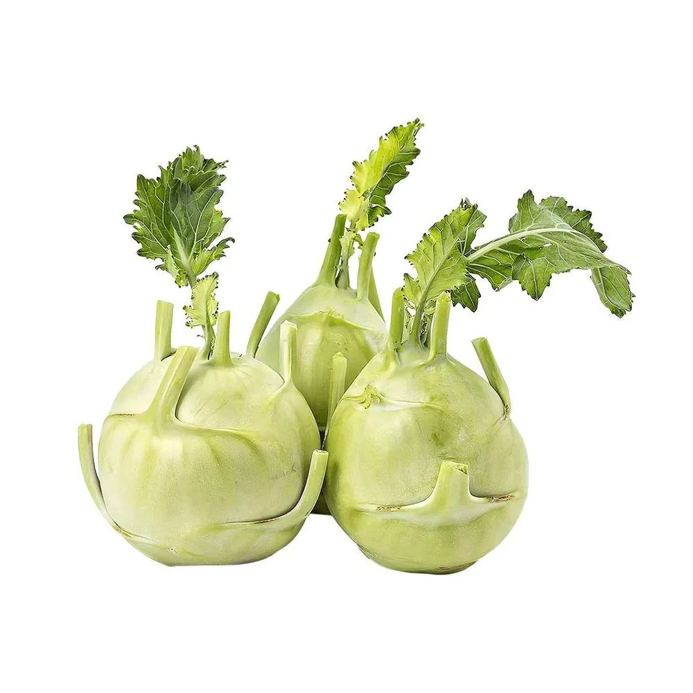 Knol Khol