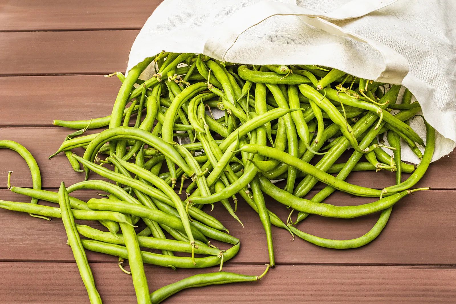 Cowpea