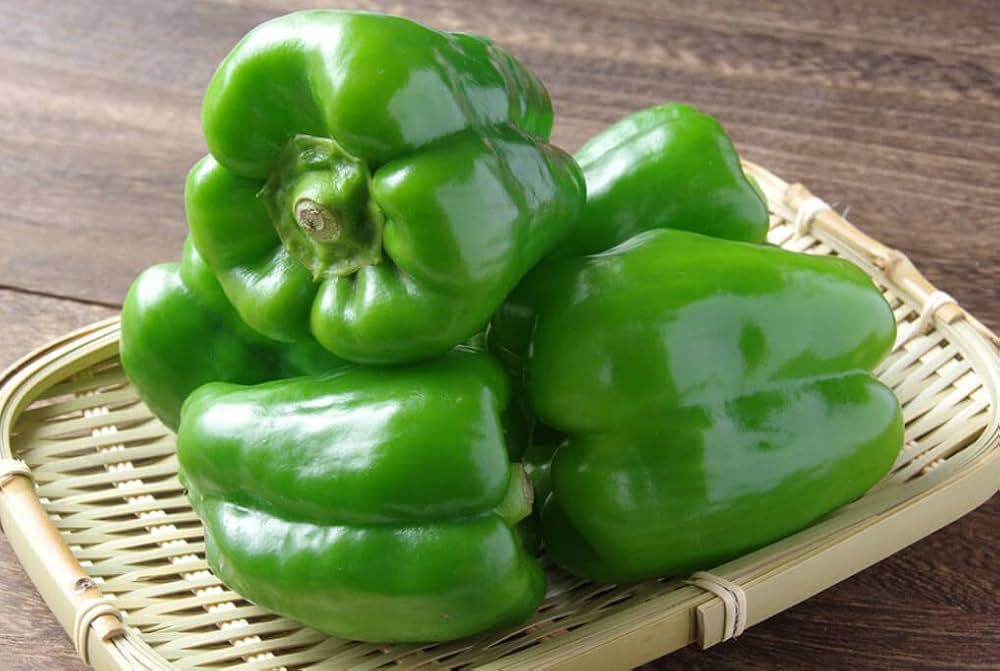 Capsicum