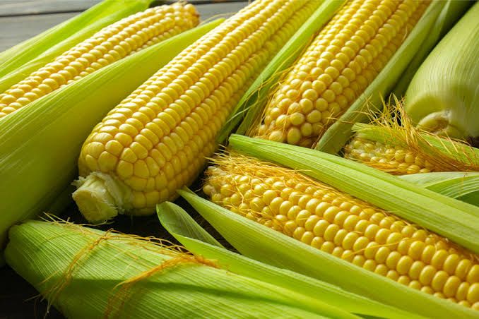 Sweet Corn
