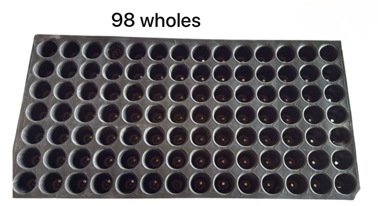 98 Holes Seedling Tray