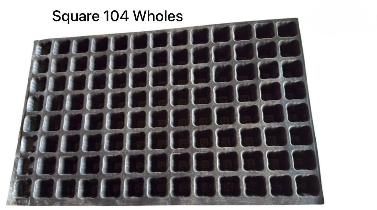 104 Holes Seedling Tray
