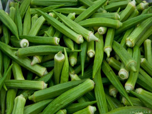 Okra
