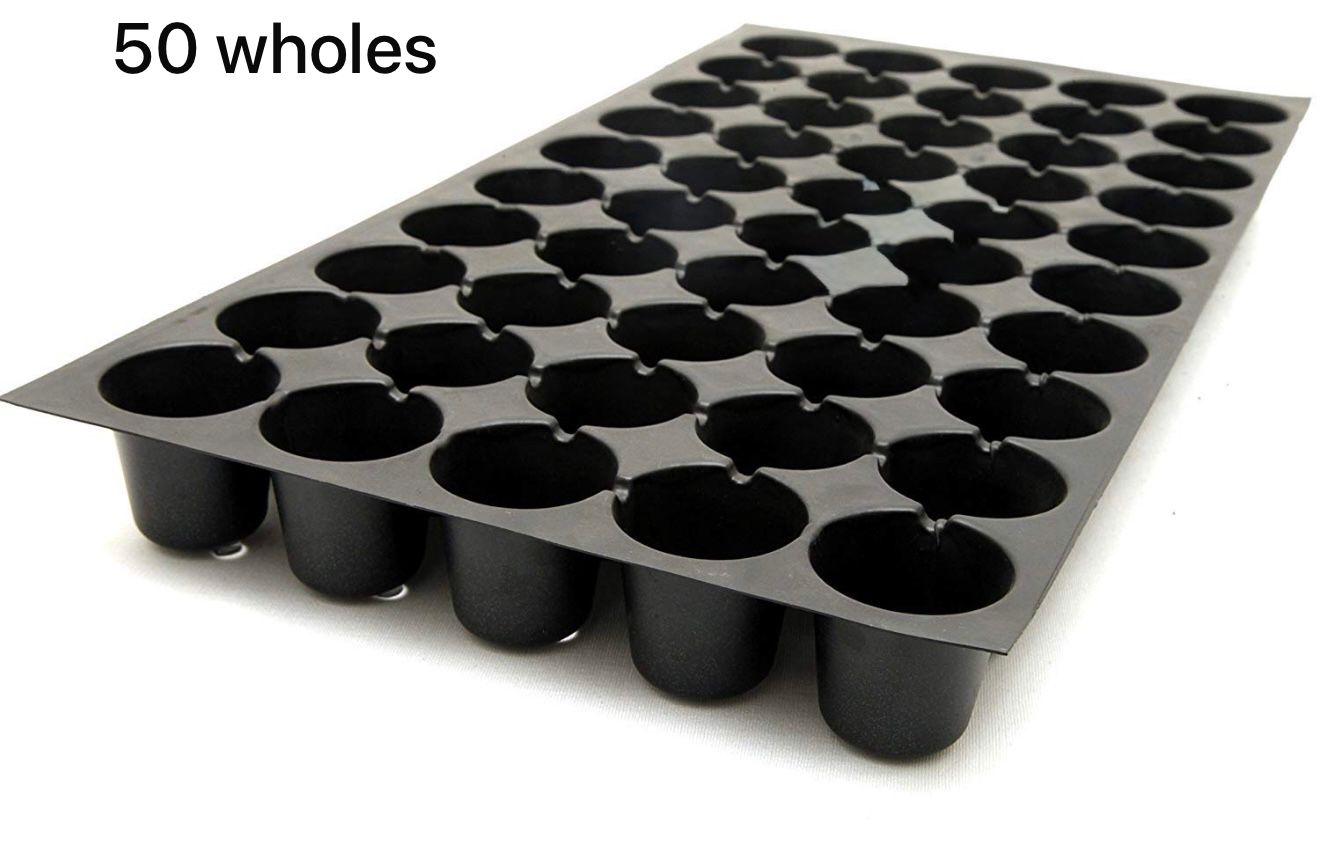 50 Holes Seedling Tray