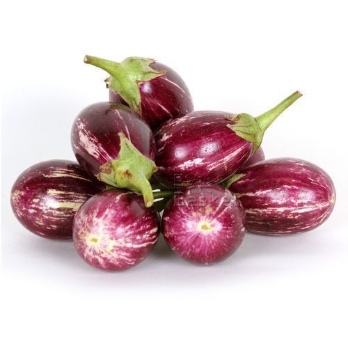 Eggplant brinjal