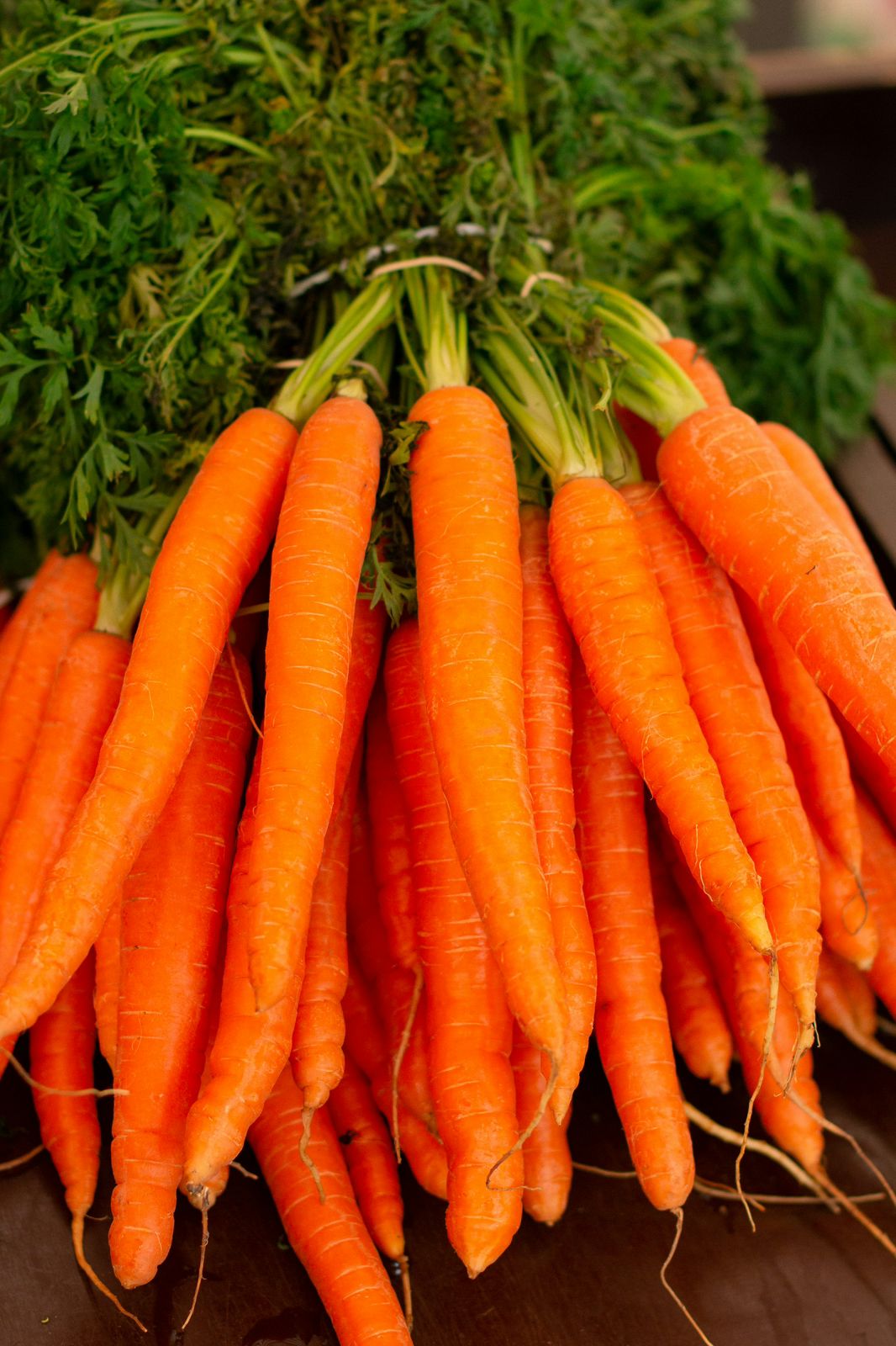 Yellow carrot