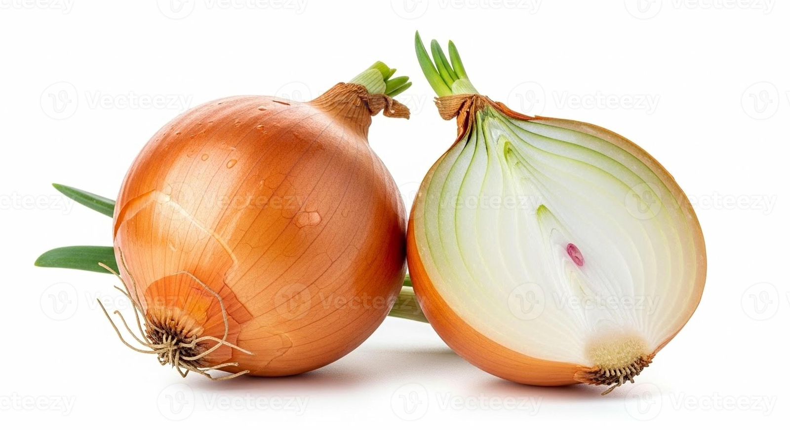 Yellow Onion