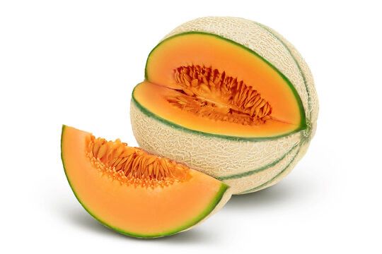 Striped Muskmelon